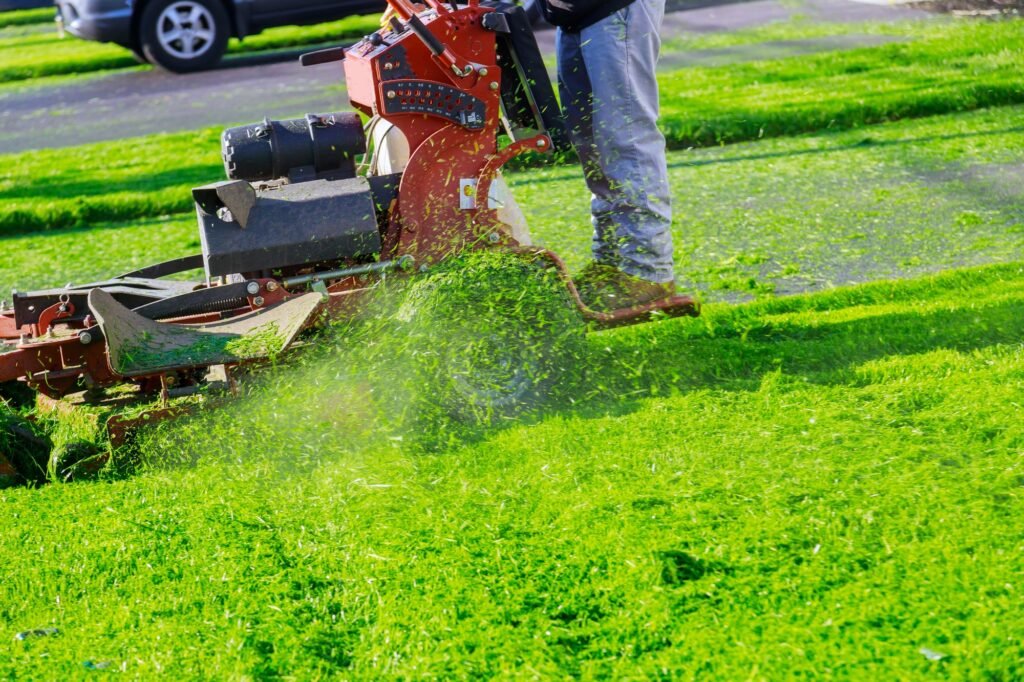 affordable lawn care service in clarence