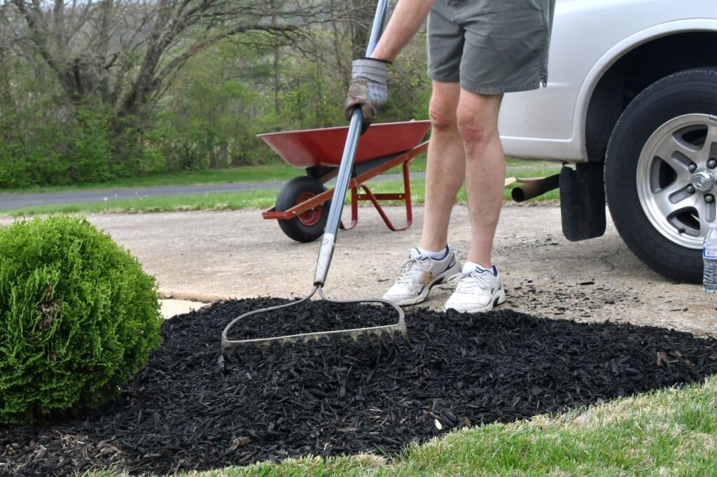 Mulch Installation Service in Clarence