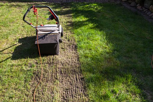 You are currently viewing Is Lawn Aeration Really the Secret to a Vibrant and Healthy Lawn?