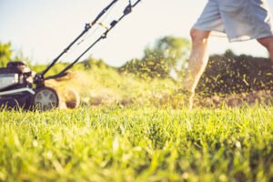 8 Amazing Steps To Improve Your Lawn