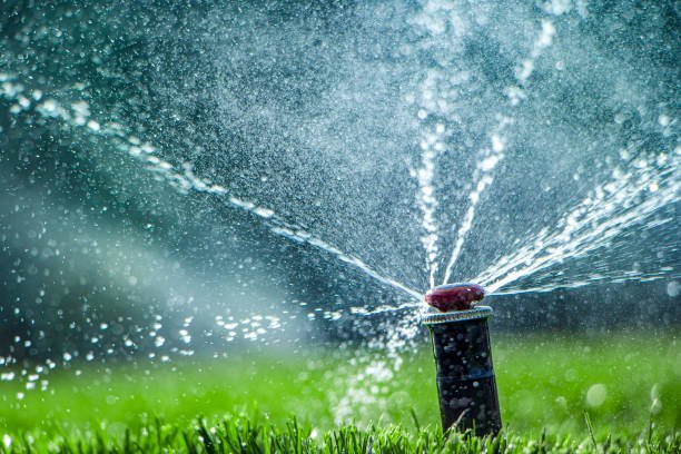 Read more about the article Brilliant Ideas To Avoid Over Watering in Lawn Care