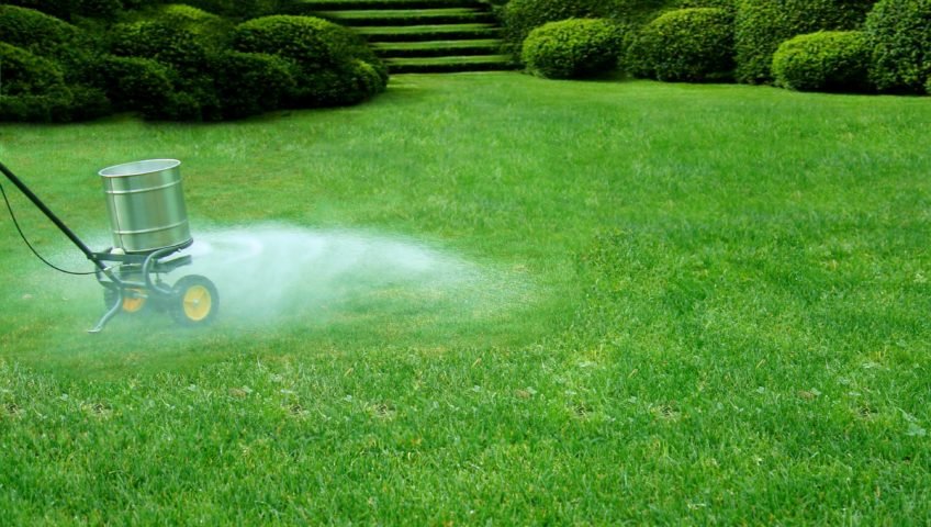 You are currently viewing How to Fertilize Lawn This Winter For the Ultimate Results