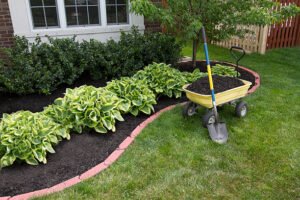 Read more about the article Transforming Outdoor Spaces: The Art of Landscaping Design in Clarence