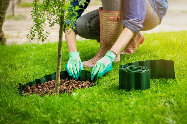 Read more about the article All You Need To Know About Mulch Installation Service Clarence