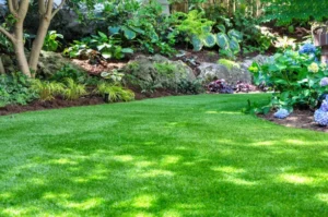 garden maintenance