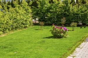 Read more about the article Outdoor Spaces with Hardscaping Services in Clarence, NY: Soil and Seed Landscaping