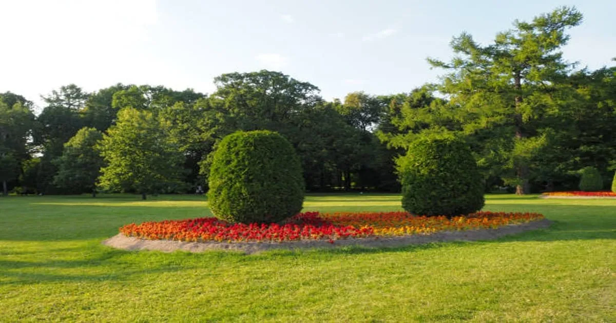 Garden Landscape Design