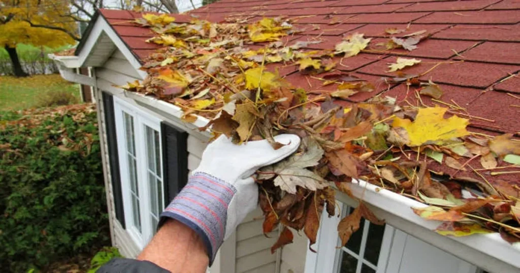 fall cleanup to avoid drainage issues.