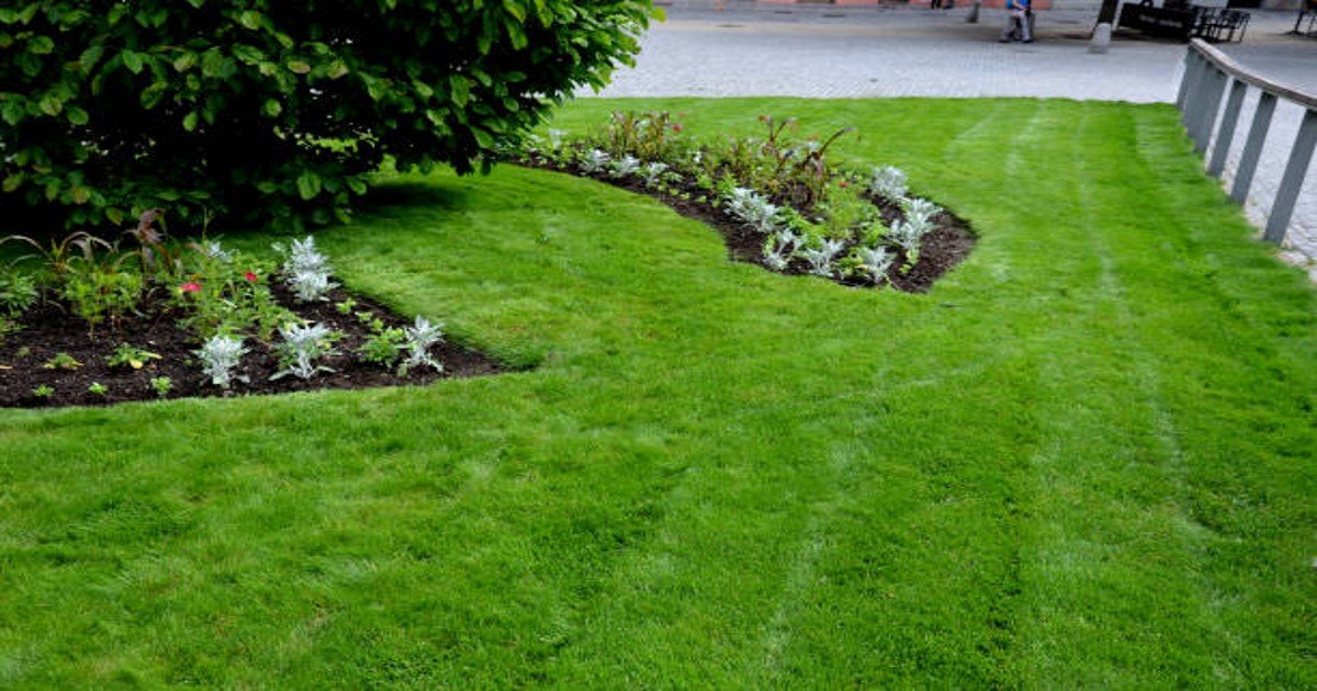 You are currently viewing Garden Design Services: How Do You Do Garden Maintenance?
