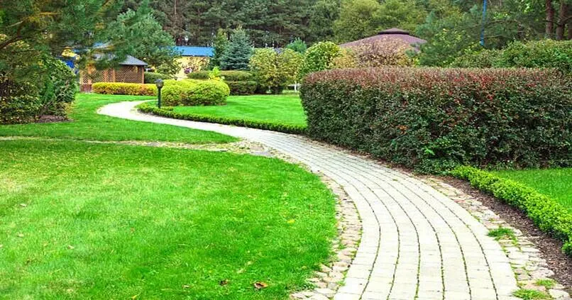 landscape design