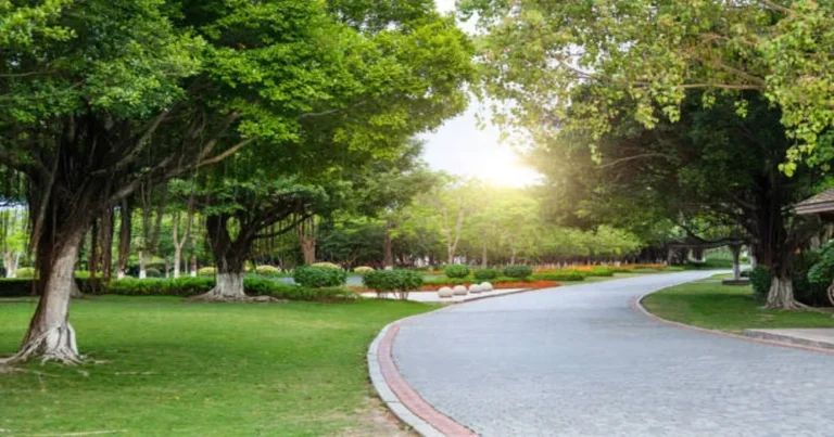 garden landscape design