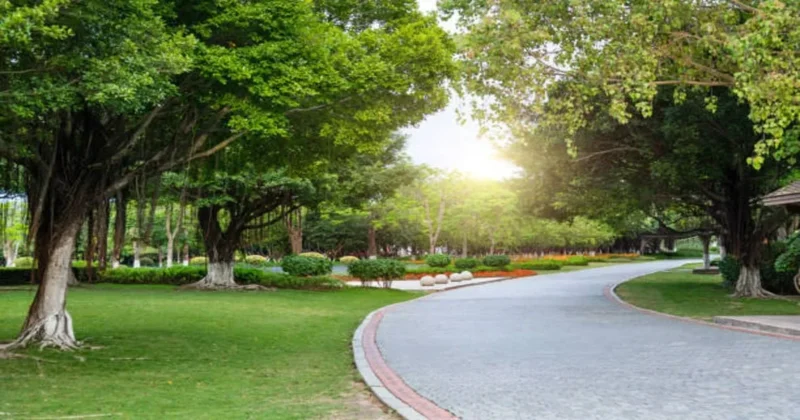 garden landscape design