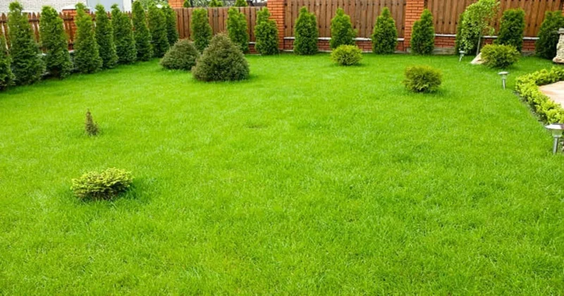 Landscape Design