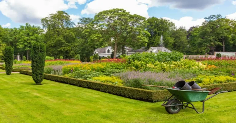 Garden Maintenance