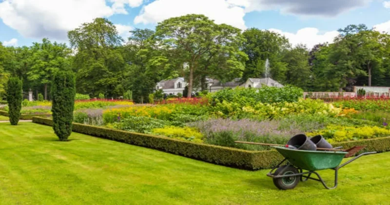 Garden Maintenance