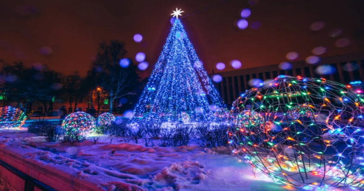 holiday lighting installation