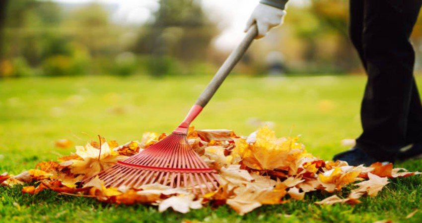 Fall Cleaning in Clarence