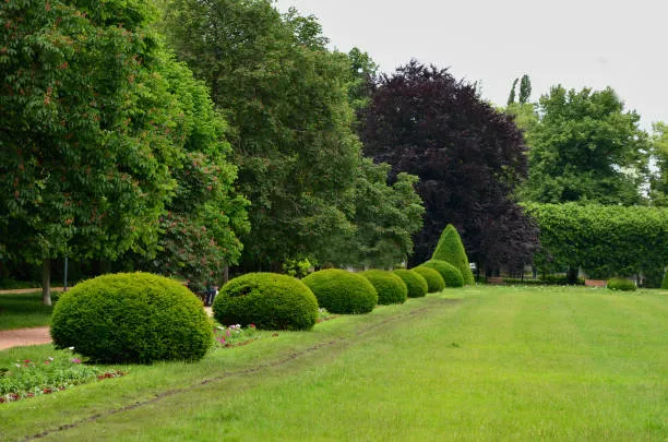 Landscaping