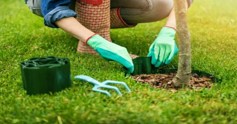 Mulch Installation
