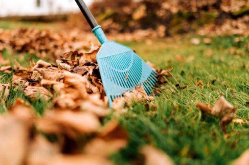 Read more about the article Fall Cleanup Checklist: Everything You Need for a Healthy Landscape