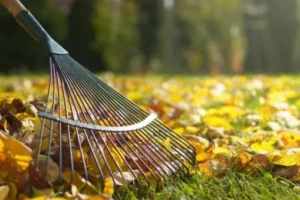 fall cleanup