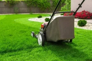 landscaping service in Clarence NY