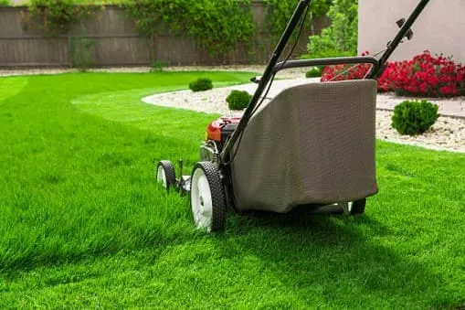 landscaping service in Clarence NY
