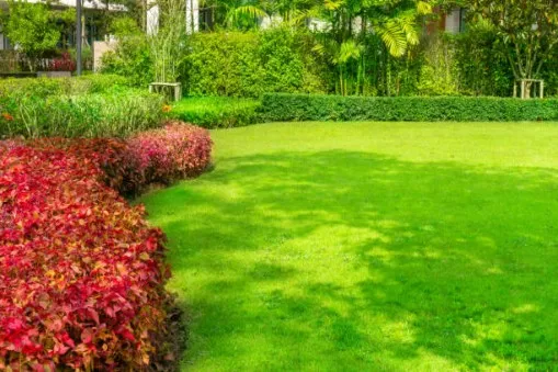 landscape maintenance