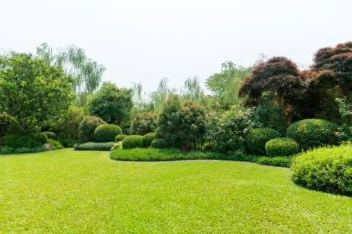Seasonal Landscaping