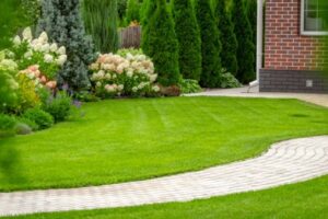 landscaping design