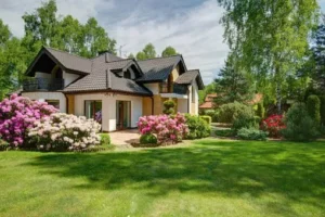 landscaping services