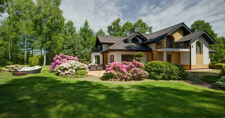 landscaping services