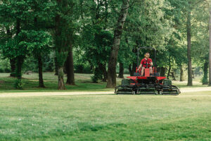 Best Landscapers in Clarence
