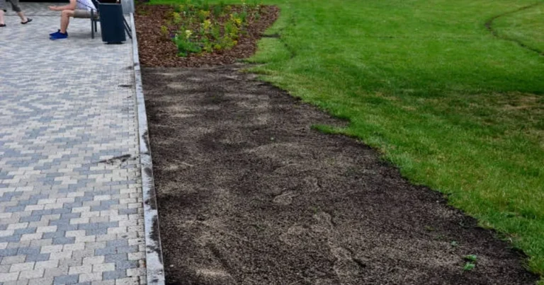 Mulch Installation
