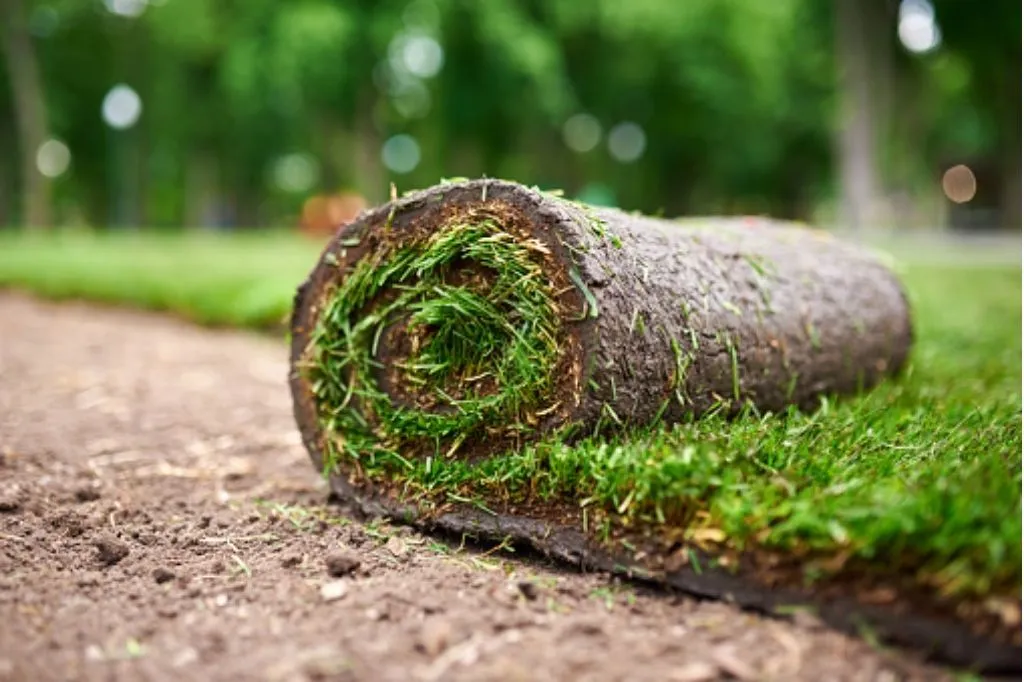 Tips for sod installation