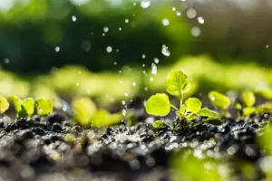 drip irrigation system