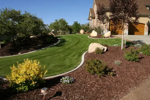 front yard landscaping