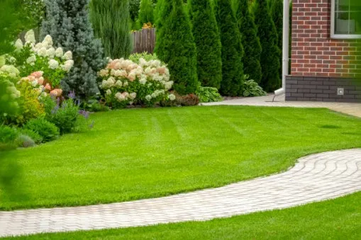 landscaping design