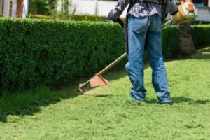 landscaping maintenance service Clarence NY