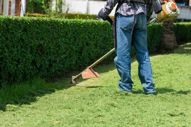landscaping maintenance service Clarence NY