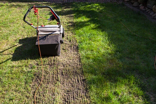 Lawn Aeration