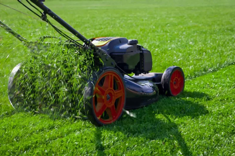 lawn care companies in clarence