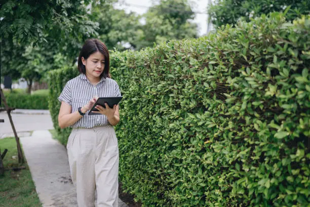 lawn treatment company