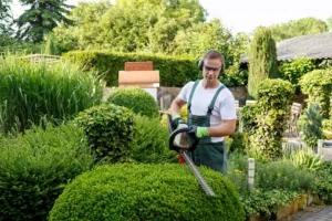 professional landscape design