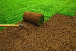 sod installation company