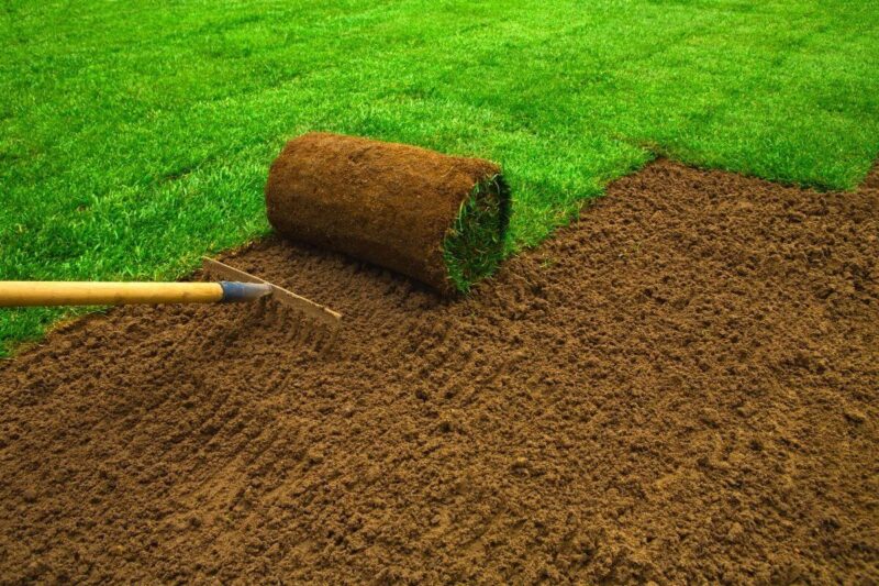 sod installation company