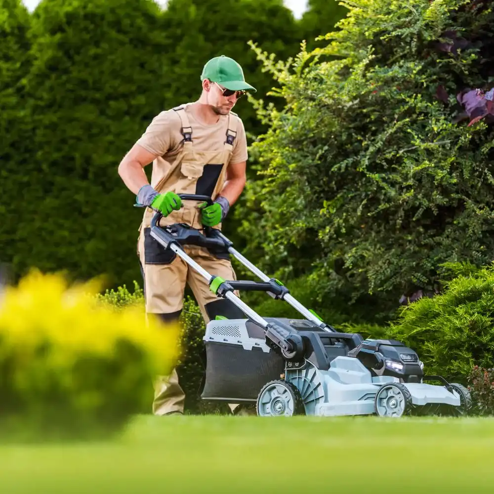 landscaper in clarence ny using a modern cordless battery-powered electric lawn mower